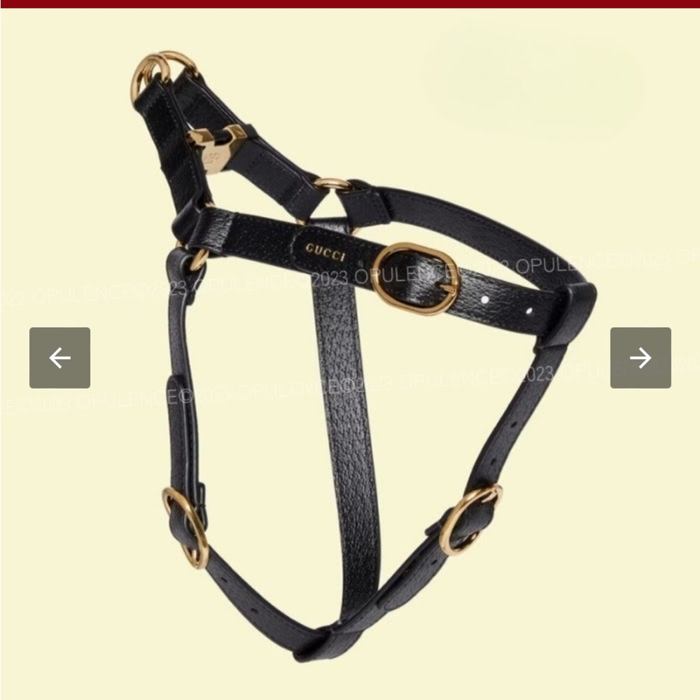 Gucci dog harness and leash leather with box and dust bags